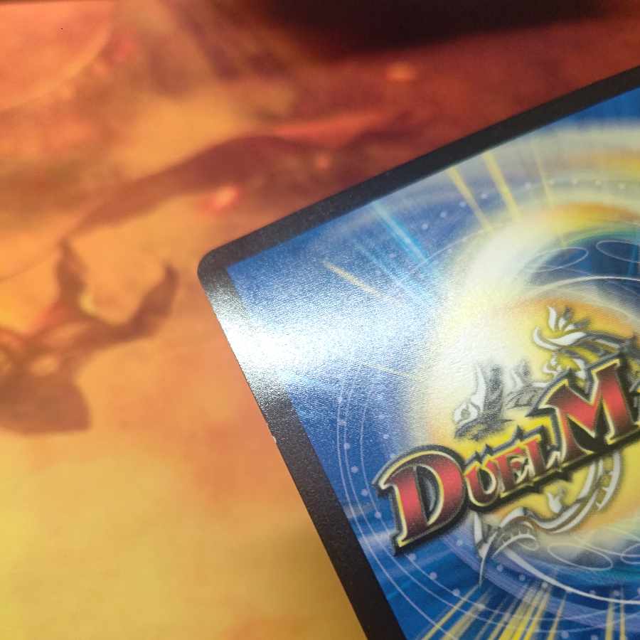 A Squirrel's Charge Interview with VR 33/89