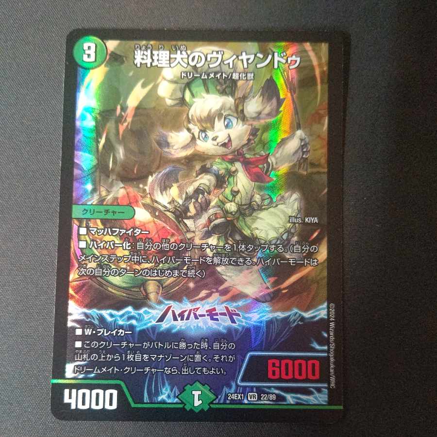 Cooking dog Vyandu VR 22/89