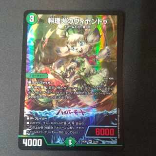 Cooking dog Vyandu VR 22/89