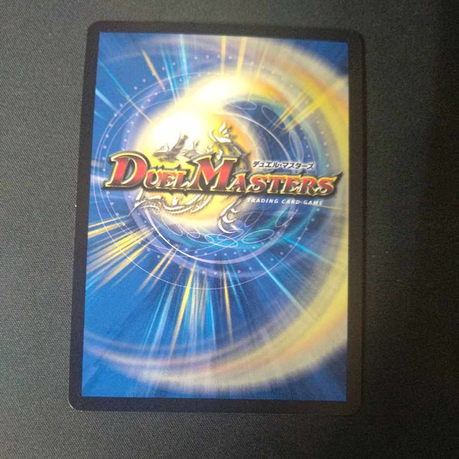 Cooking dog Vyandu VR 22/89