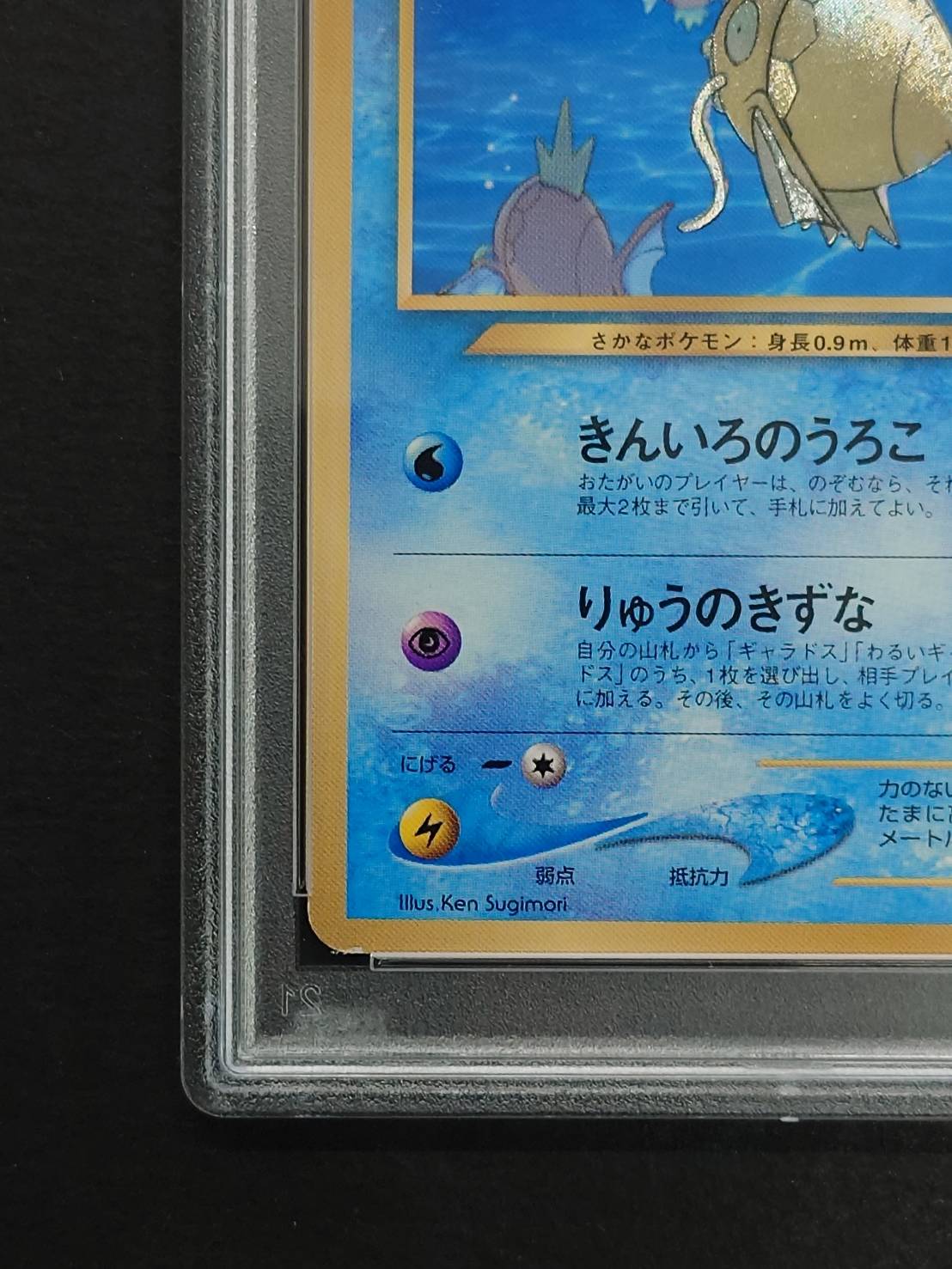 PSA9】ひかるコイキング ファンクラブ 旧裏