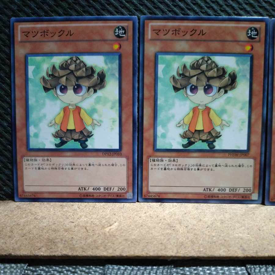 【ぽぽたん】遊戯王  5728  マツボックリ  ノーマル  ３枚