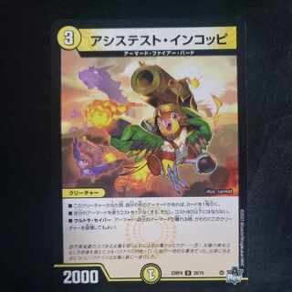 Assist Incoppi U 28/74