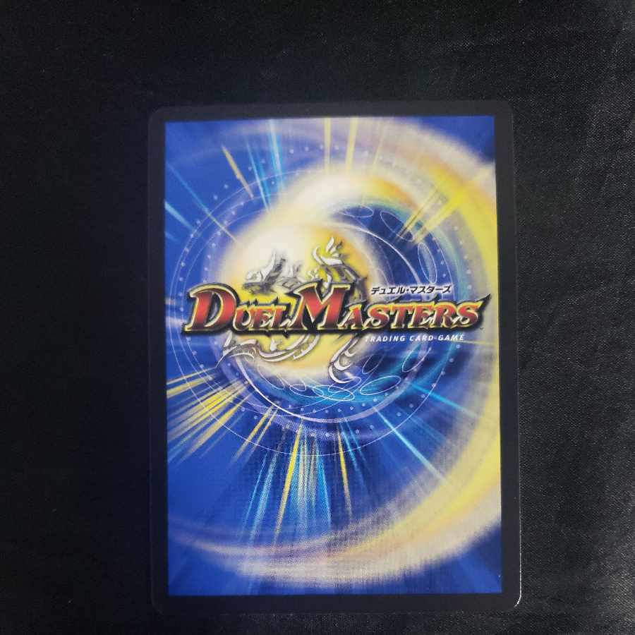 影世界のシクミ R 60/112