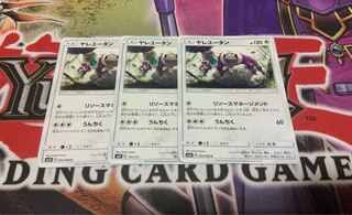 ヤレユータン リソースマネジメント