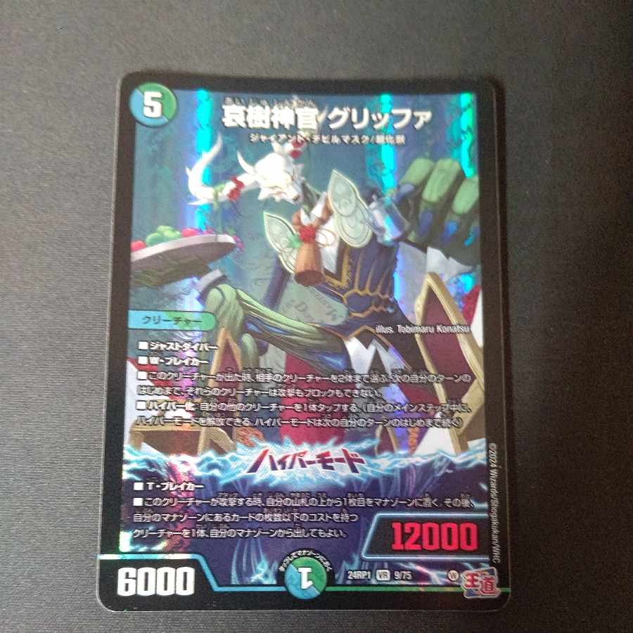 Aiju Priestess Griffa VR 9/75