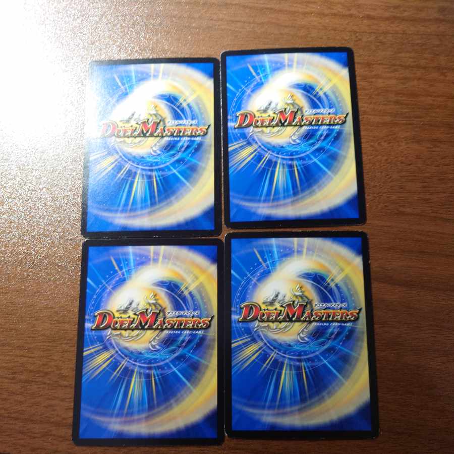 ルクショップ・チェサイズ R 15/93