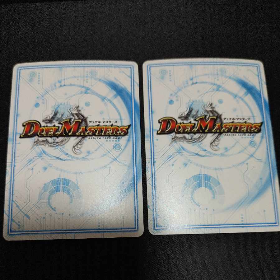 The ジョギラゴン・アバレガン MAS M21/M40