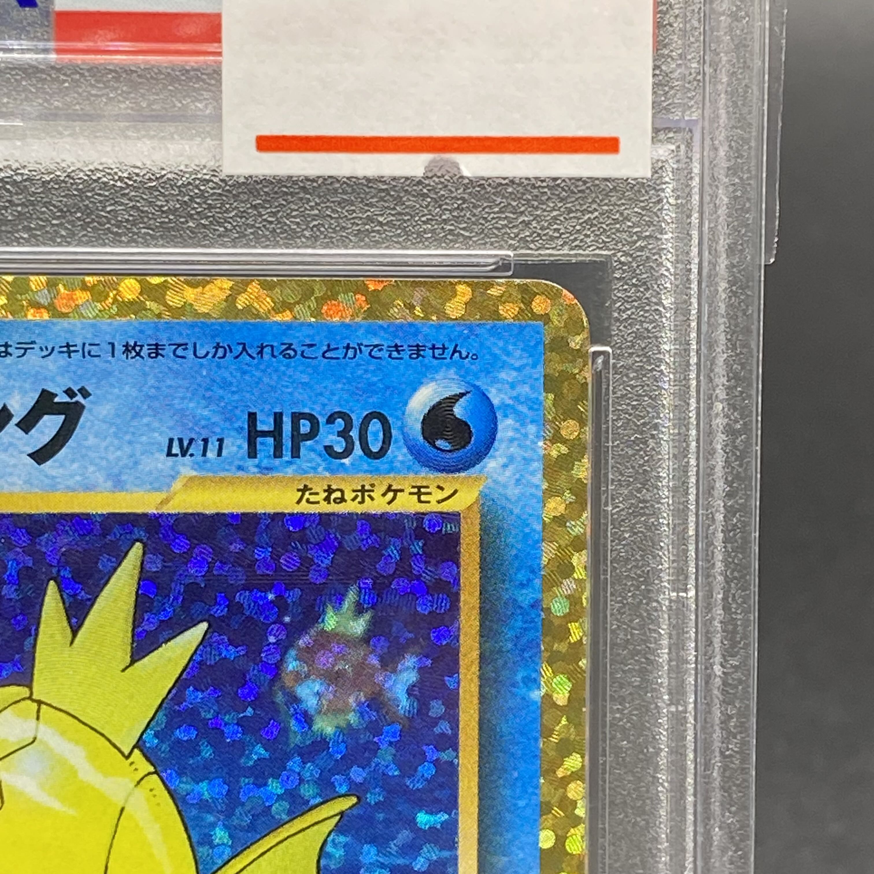 【PSA10】連番ひかるコイキング(25th)【P】{010/025} PSA10】ひかるコイキング25th(010/025)