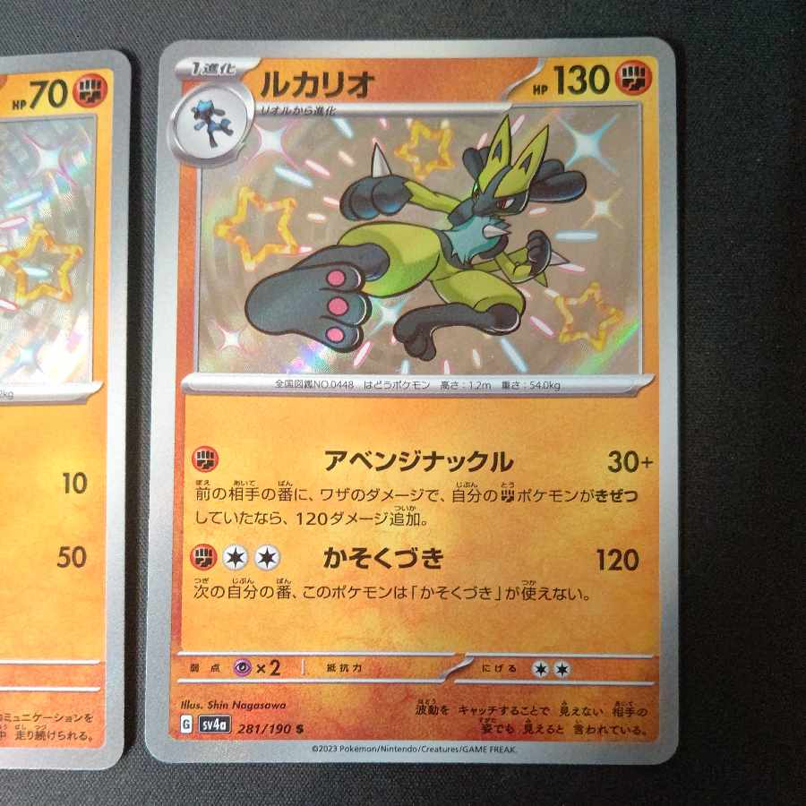 Riolu S Lucario S Set of 2