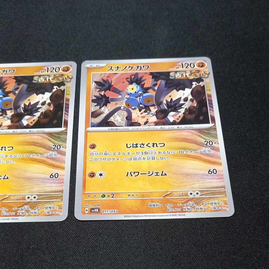 Carex alopecuroides var. chlorostachya (species of sedge)