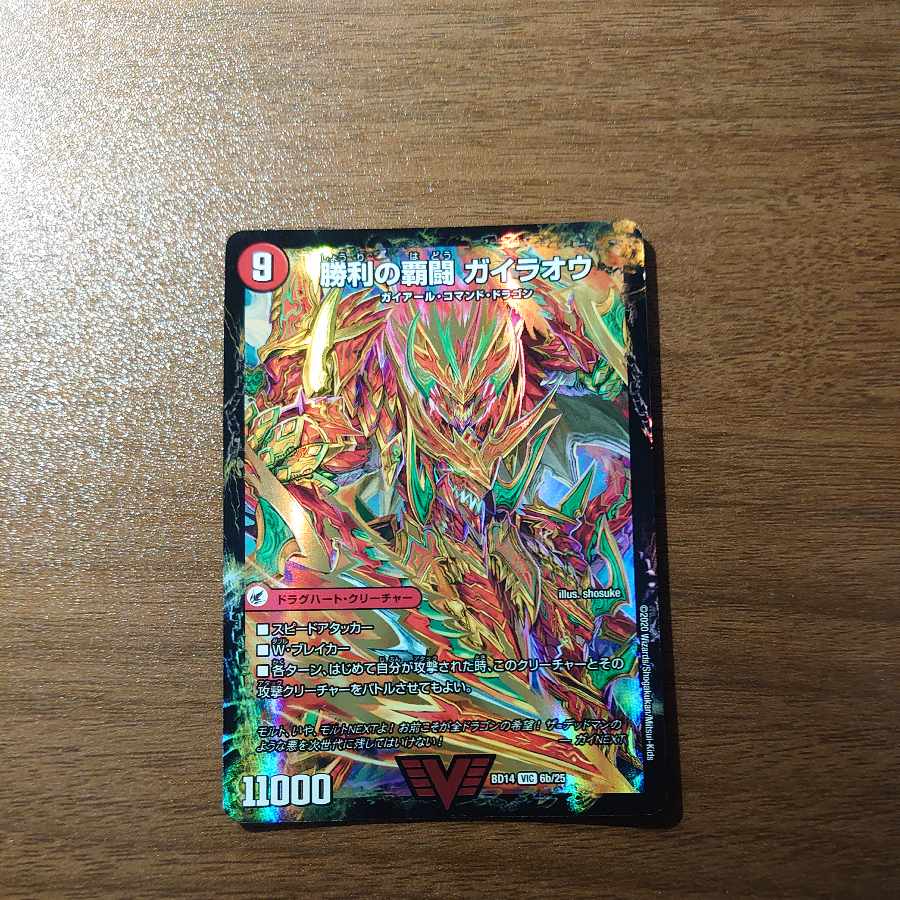 Ha Fighting Shoguryu Sword Gaiowu Burn｜Ha Fighting Gaiowu VIC 6a/25｜6b/25