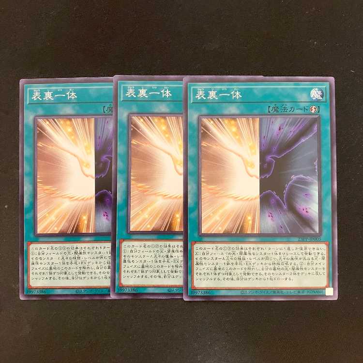 Front and back Normal 23PP-JP005