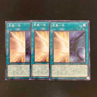 表裏一体 ノーマル 23PP-JP005