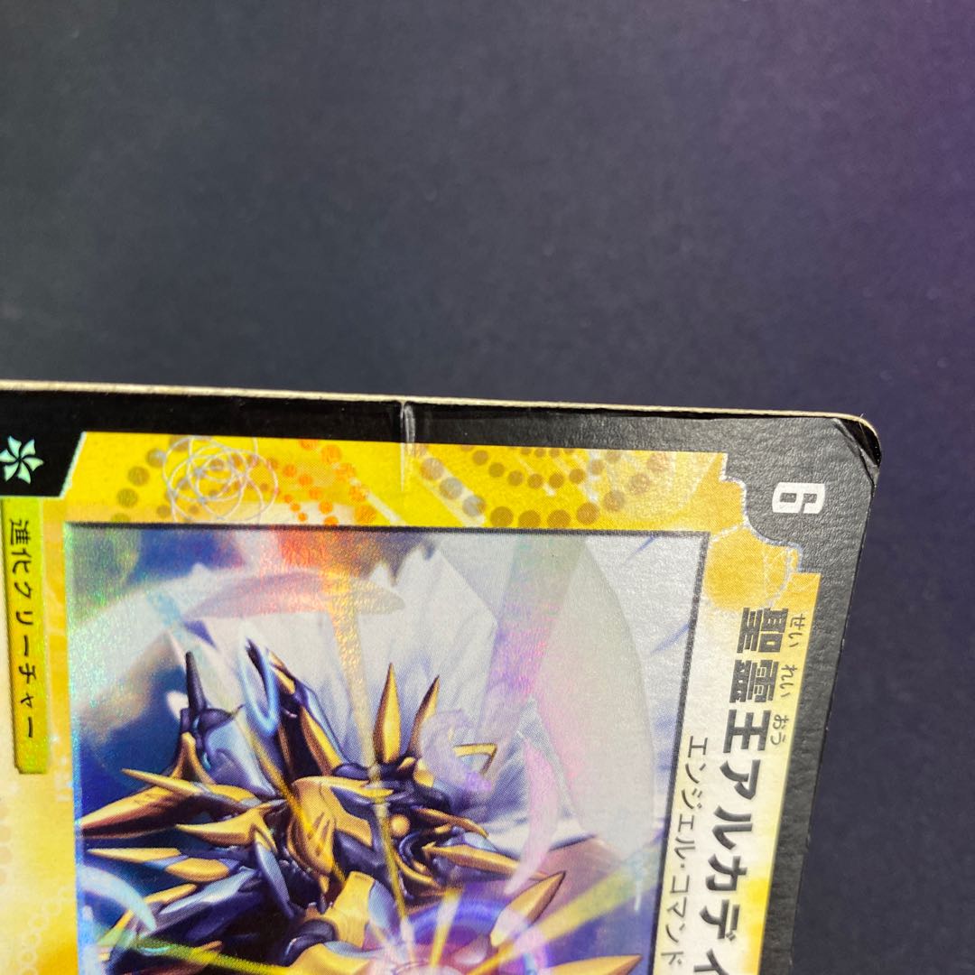 【キズ特価】聖霊王アルカディアス 初期