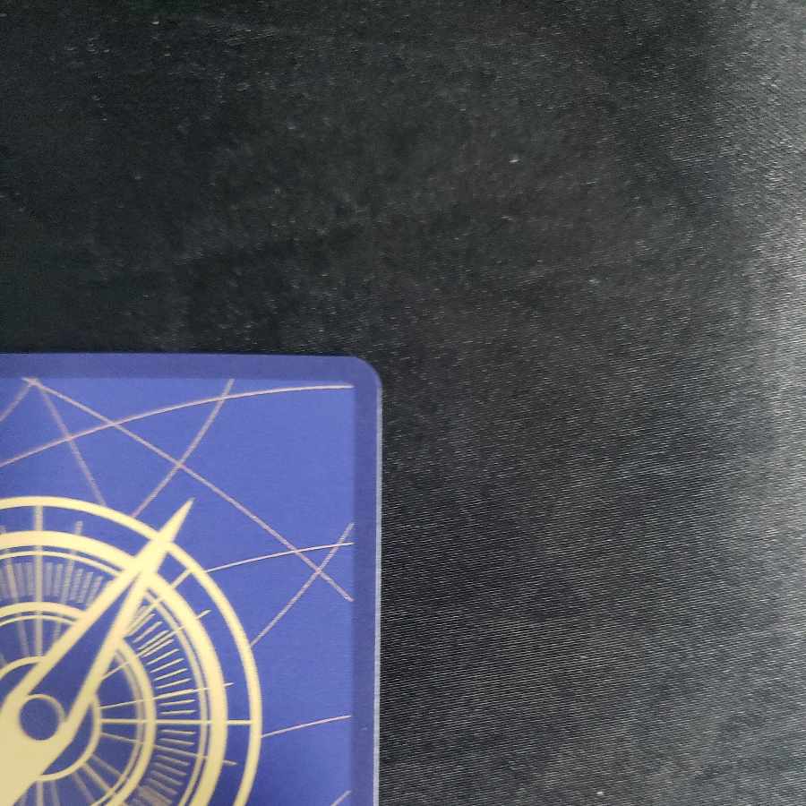 Charlotte Lynn Lynn SR OP08-069