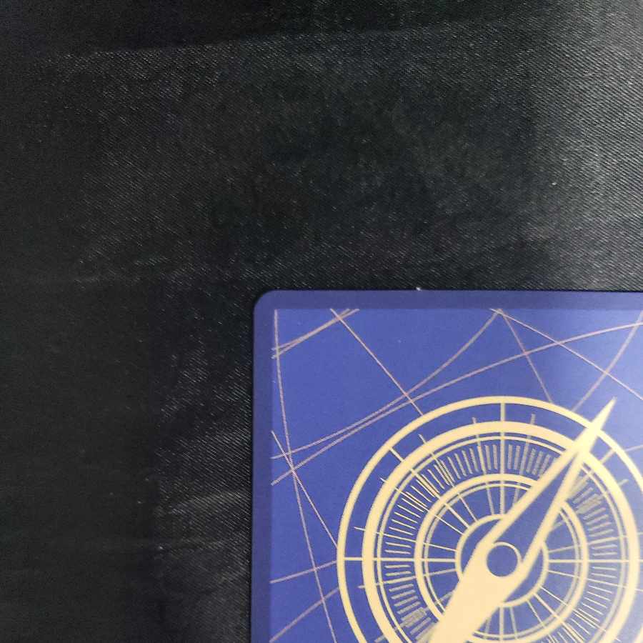 Charlotte Lynn Lynn SR OP08-069