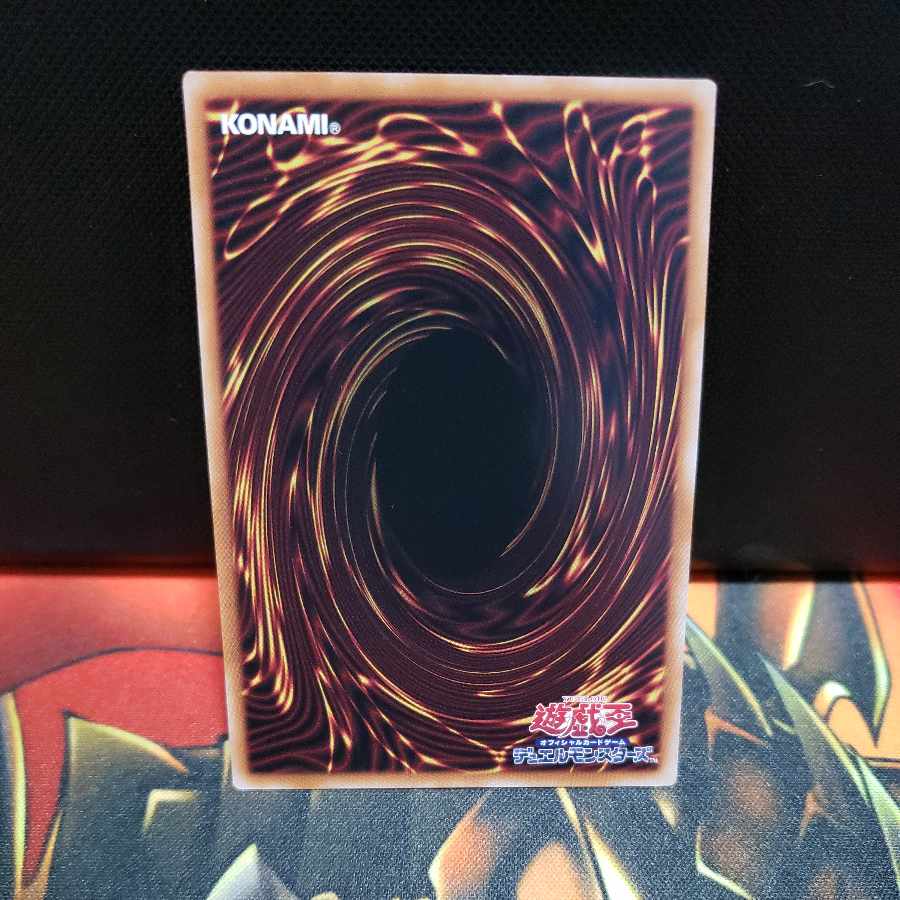 Rebel et QCSE, 25th Sikh SUDA-JP023