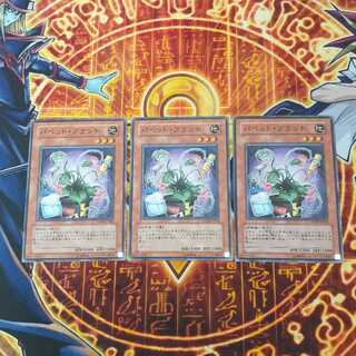 Puppet Plant Normal JP022