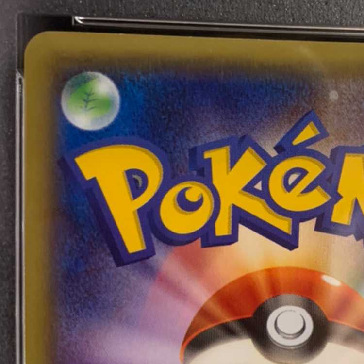 PSA10] Pikachu PROMO 207/XY-P in poncho (Used) （323531764