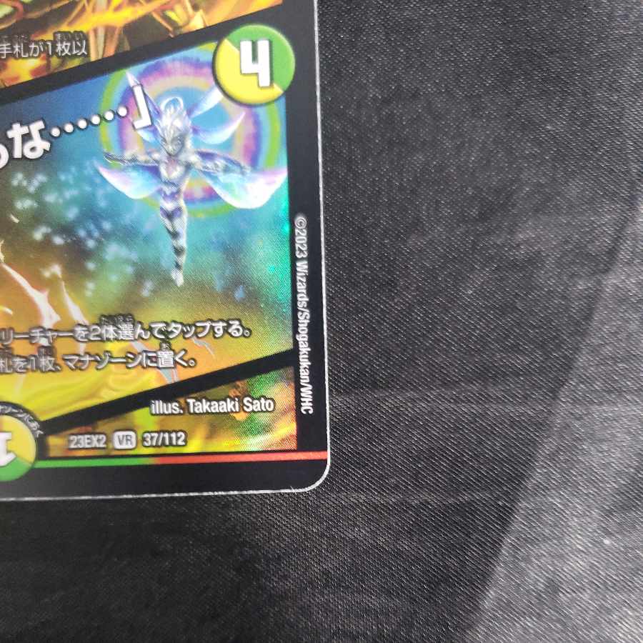 Summit Seal Parakin 8th｜"There's a demon in the house. ......" VR 37/112