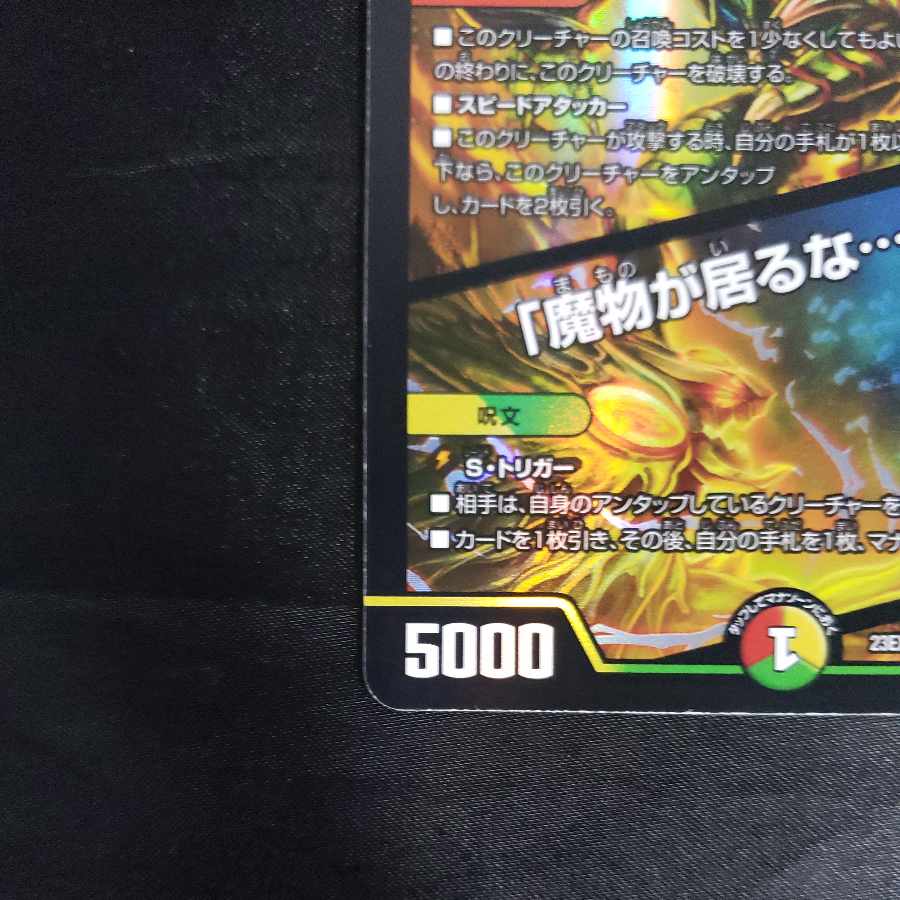 Summit Seal Parakin 8th｜"There's a demon in the house. ......" VR 37/112