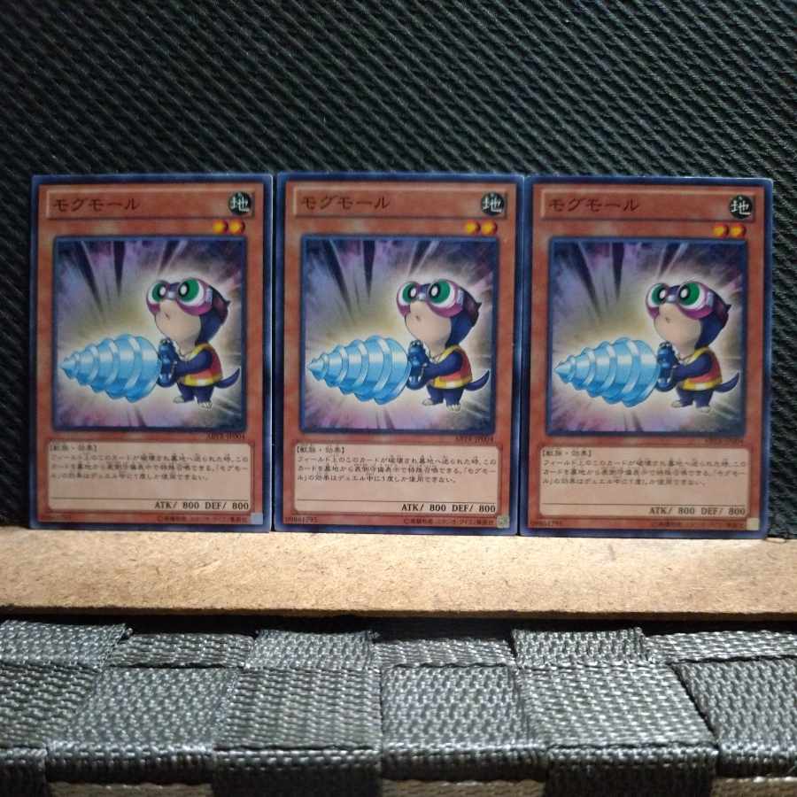 【ぽぽたん】遊戯王 モグモール ノーマル 3枚