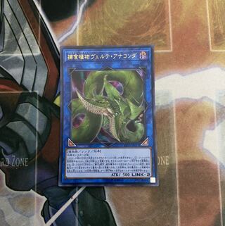 捕食植物ヴェルテ・アナコンダ UR