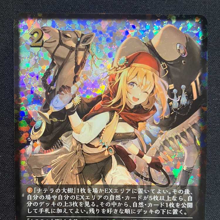 Shadowverse Evolve: Guide to Wasteland (PR)