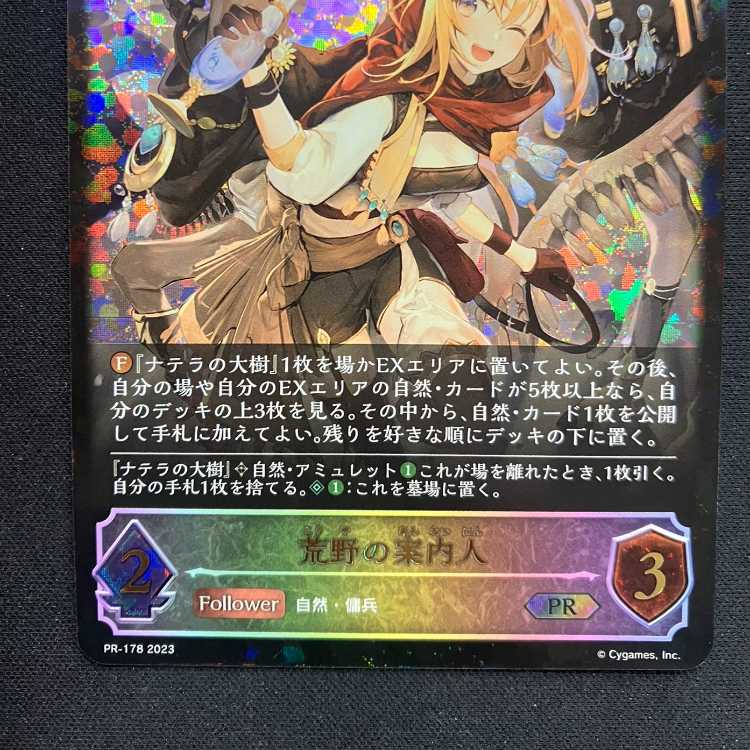 Shadowverse Evolve: Guide to Wasteland (PR)