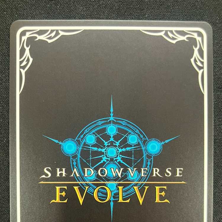 Shadowverse Evolve: Guide to Wasteland (PR)