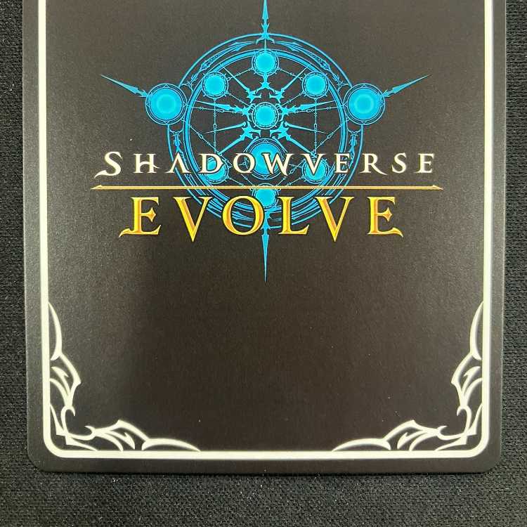 Shadowverse Evolve: Guide to Wasteland (PR)