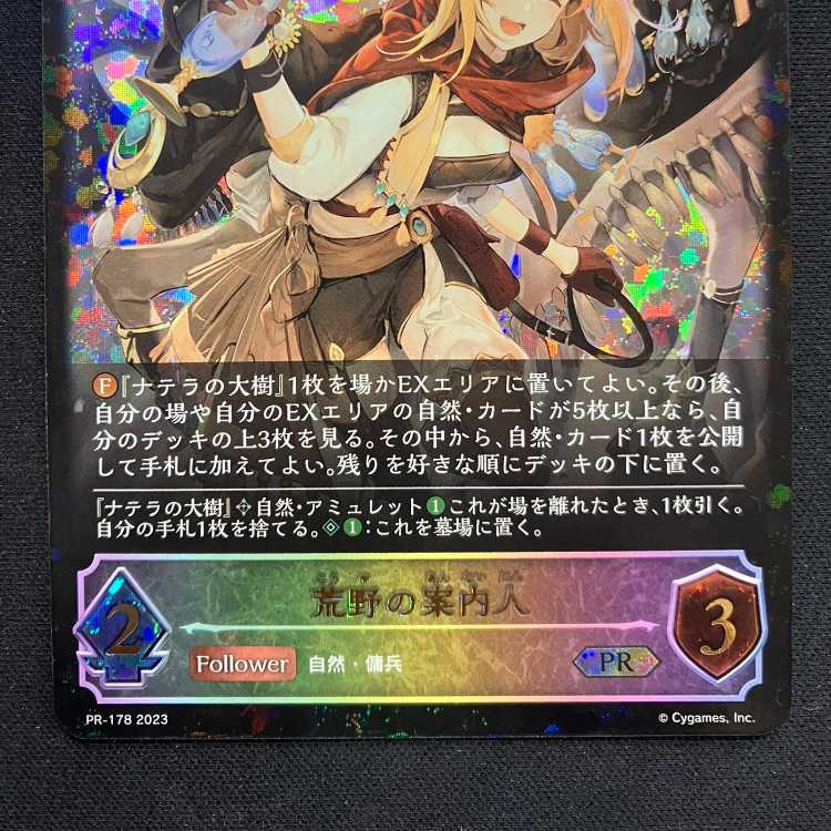 Shadowverse Evolve: Guide to Wasteland (PR)