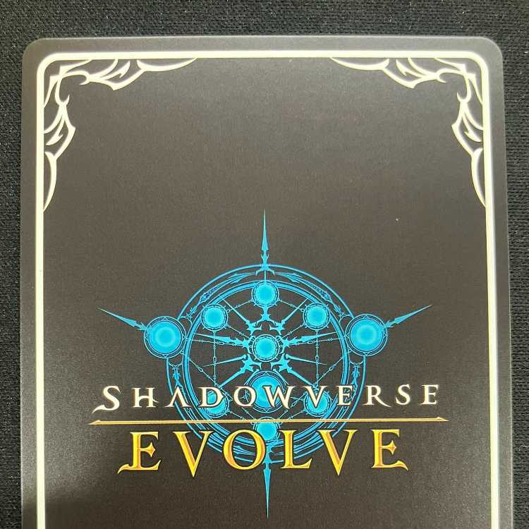 Shadowverse Evolve: Guide to Wasteland (PR)