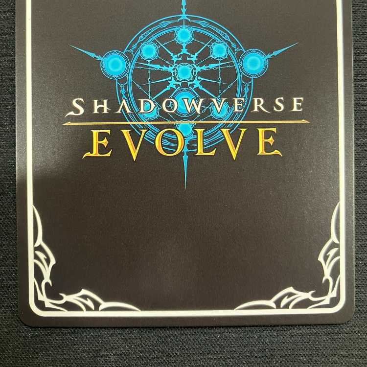 Shadowverse Evolve: Guide to Wasteland (PR)