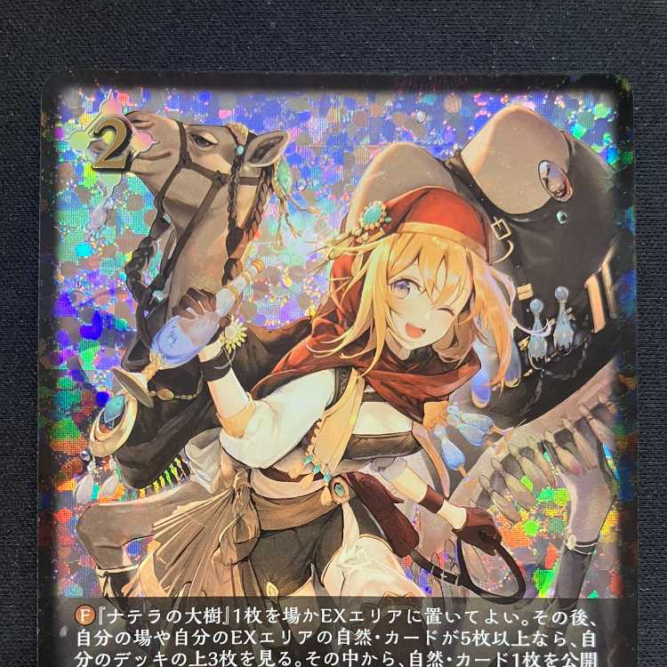 Shadowverse Evolve: Guide to Wasteland (PR)