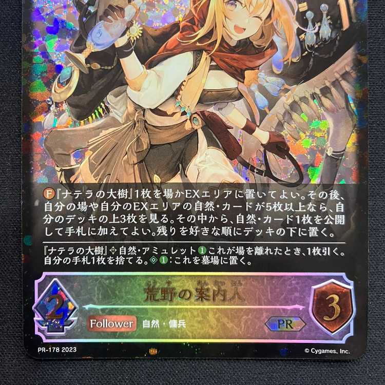 Shadowverse Evolve: Guide to Wasteland (PR)