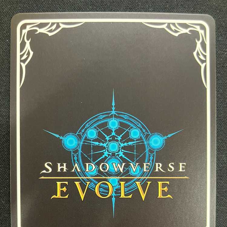 Shadowverse Evolve: Guide to Wasteland (PR)