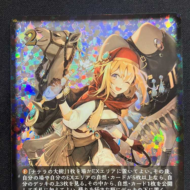 Shadowverse Evolve: Guide to Wasteland (PR)