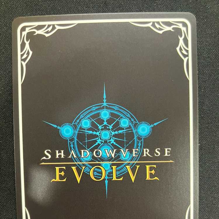 Shadowverse Evolve: Guide to Wasteland (PR)