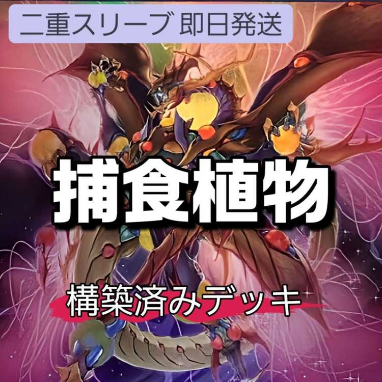 山屋　即日発送　捕食植物デッキ　構築済みデッキ　まとめ売り　捕食活動　捕食計画　スターヴ・ヴェノム・プレデター・フュージョン・ドラゴン　捕食植物トリフィオヴェルトゥム　捕食植物ドラゴスタペリア