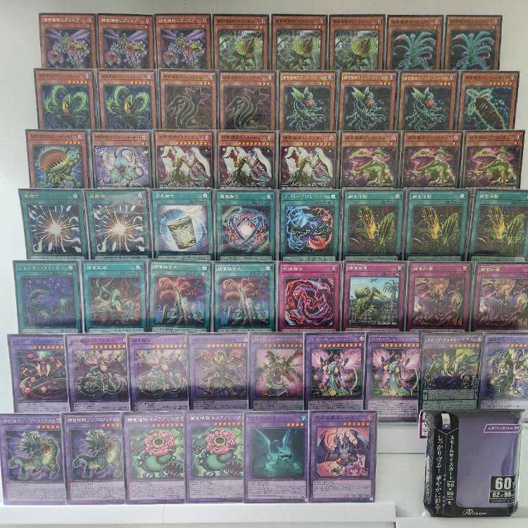 山屋　即日発送　捕食植物デッキ　構築済みデッキ　まとめ売り　捕食活動　捕食計画　スターヴ・ヴェノム・プレデター・フュージョン・ドラゴン　捕食植物トリフィオヴェルトゥム　捕食植物ドラゴスタペリア