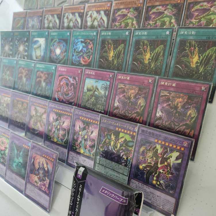 山屋　即日発送　捕食植物デッキ　構築済みデッキ　まとめ売り　捕食活動　捕食計画　スターヴ・ヴェノム・プレデター・フュージョン・ドラゴン　捕食植物トリフィオヴェルトゥム　捕食植物ドラゴスタペリア