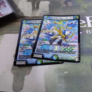 つぶやきブルーバード2枚