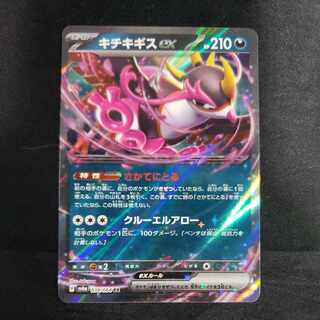 Kicchi Kigis ex RR 038/064