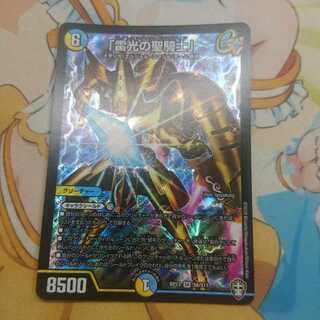 「雷光の聖騎士」