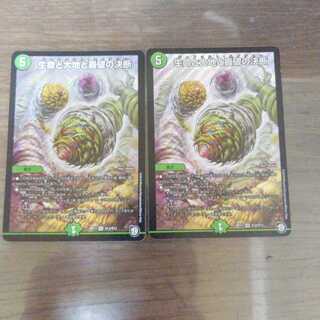 生命と大地と轟破の決断