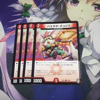 ハエタタ・チュリス 未使用