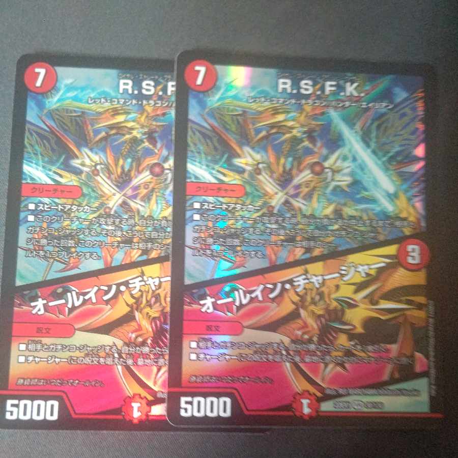 R.S.F.K.|All-in charger VR 30/130, set of 2