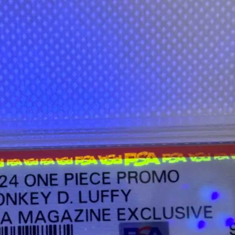 【PSA10】PSA付録版 海外 ルフィ PROMO OP05-060 1枚